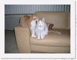 Tommy en Tymo 271 * 2048 x 1536 * (1021KB)